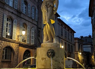 france/toulouse/saint-etienne/landmark/statue-diane