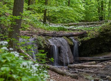 hungary/mecsek/landmark/agnes-vizeses