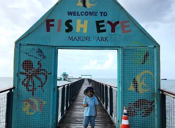 guam/mangilao/landmark/fish-eye-underwater-observatory