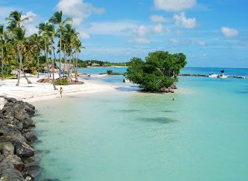 dominican-republic/punta-cana/landmark/segway-eco-tour-punta-cana