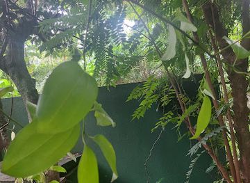 sri-lanka/bentota/landmark/spice-and-herbal-garden