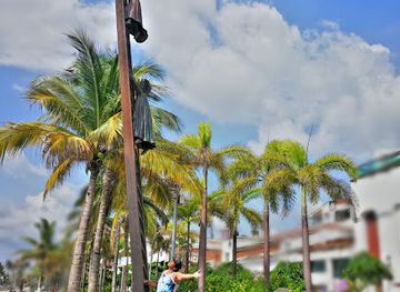 mexico/central-mexico/landmark/in-search-of-reason