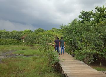 sri-lanka/wet-zone/landmark/beddagana-wetland-park