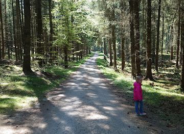 denmark/central-jutland/landmark/silkeborg-vesterskov-mindesten
