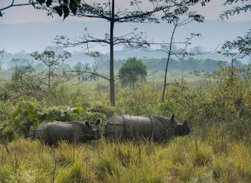 nepal/chitwan-national-park/landmark/sarang-wildlife-sanctuary