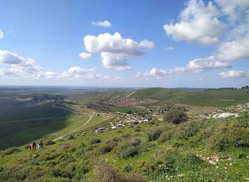 israel/shephelah/landmark/tzora-forest