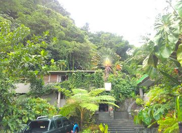 dominica/indian-river/landmark/papillote-tropical-gardens