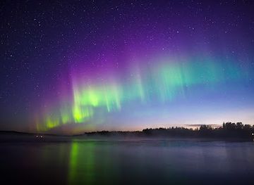 finland/rovaniemi/landmark/wild-about-lapland