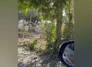 tonga/ha-apai-islands/landmark/ha-atafu-beach