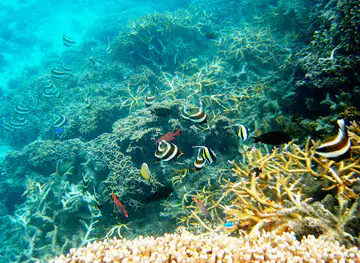 Fagatele Marine Sanctuary