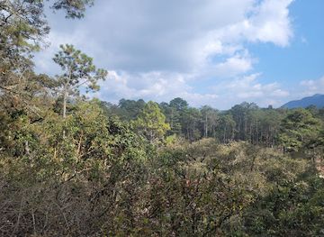 mexico/lacandon-jungle/landmark/parque-ecoturistico-rancho-nuevo