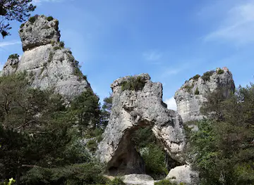 Parc naturel régional des Grands Causses