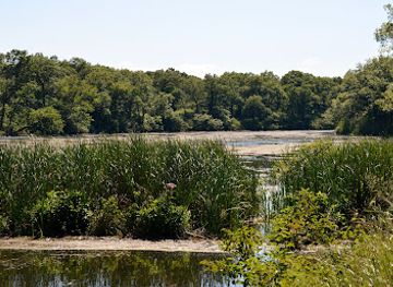 indiana/the-calumet-region/landmark/idnp-miller-woods