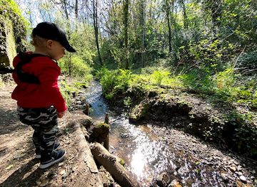 jersey/saint-martin/landmark/st-catherine-s-woods-st-martin-s-entrance