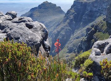 south-africa/table-mountain-national-park/landmark/ttvsa-ecotourism-broadcasting-channel