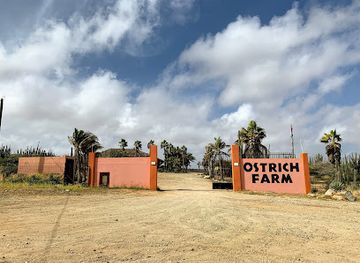 aruba/san-nicolas/landmark/aruba-ostrich-farm