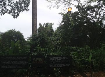 cameroon/west-region/landmark/parc-de-la-mefou-ape-action-africa