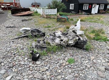 iceland/isafjordur/landmark/whale-bones