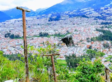ecuador/oriente/landmark/amaru-zoologico-bioparque