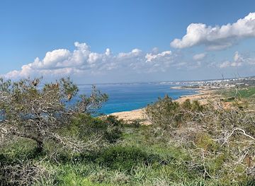 cyprus/paphos-forest/landmark/cape-cavo-greco