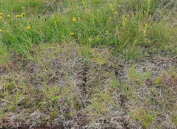 iceland/southern-region/landmark/bristapar