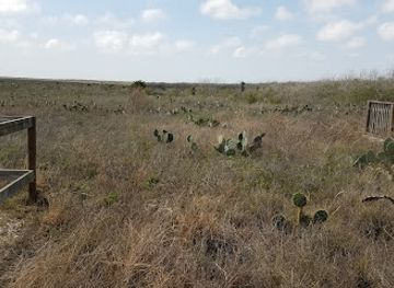 texas/brownsville/landmark/palmito-hill-battlefield-viewing-deck