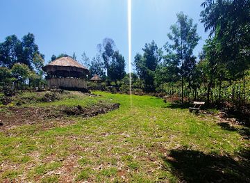 kenya/nakuru/landmark/vienna-woods-holiday-inn-hotel-nakuru