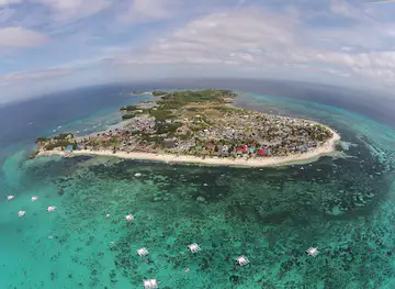 Devocean Divers Malapascua