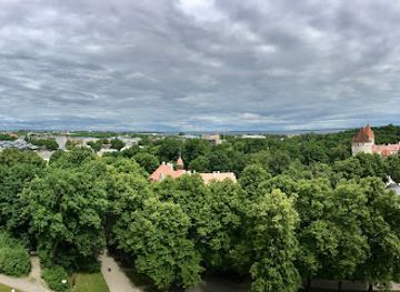 estonia/laane-viru-county/landmark/tall-hermann