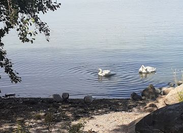finland/turku/naantali/landmark/bench-with-view