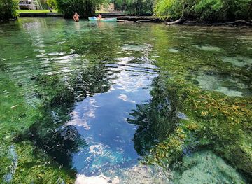 florida/homosassa-springs/landmark/7-sisters-springs