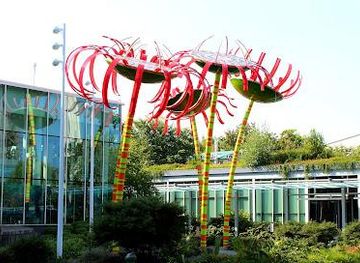 washington/bellevue/landmark/sonic-bloom