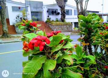 colombia/manizales/landmark/la-condesa-taqueria