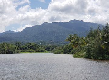 puerto-rico/yunque-national-forest/landmark/playa-fortuna