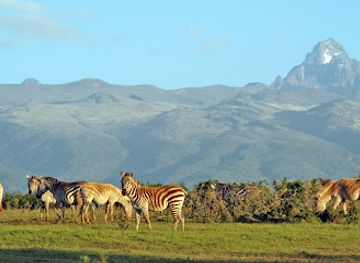 kenya/aberdare-national-park/landmark/mount-kenya-national-park
