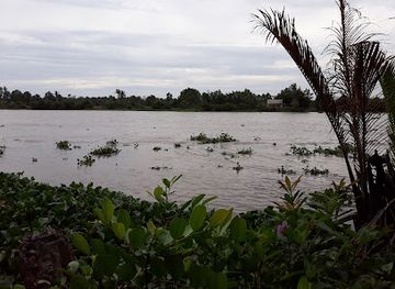 vietnam/south-central-coast/landmark/vam-co-dong-river