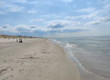 lithuania/lithuanian-seaside/landmark/smiltynes-papludimys