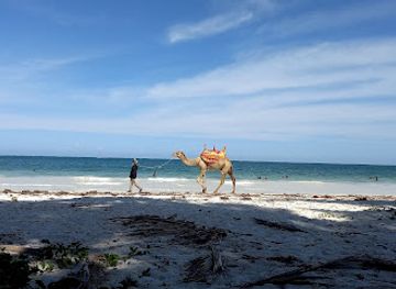 kenya/mombasa-beach/landmark/nyali-beach