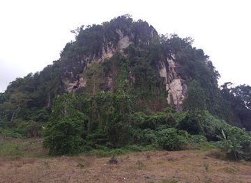 philippines/bicol-region/landmark/bat-ongan-cave