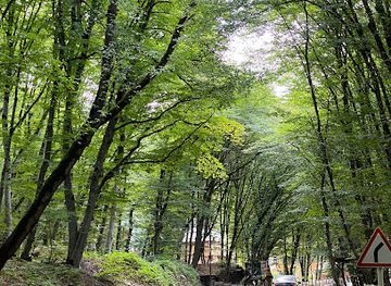 azerbaijan/quba-khachmaz-region/landmark/gachrash-forest-recreational-area