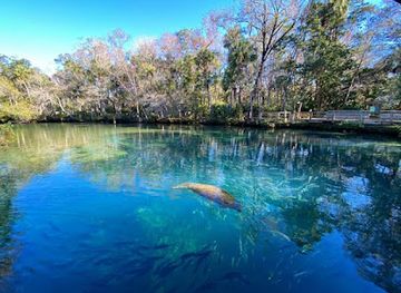 florida/homosassa-springs-wildlife-state-park/landmark/homosassa-springs-state-park-adventures