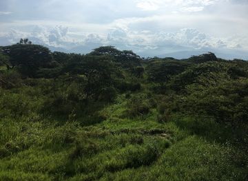 Rusizi National Park