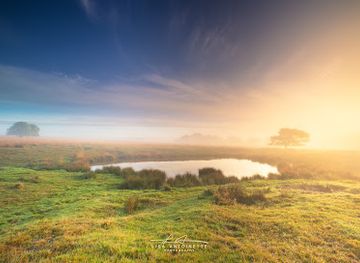 netherlands/hoge-veluwe-national-park/landmark/terletse-heide-nationaal-park-veluwezoom