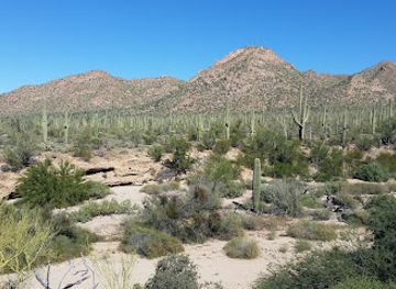 arizona/sonoran-desert/landmark/tucson-mountain-district