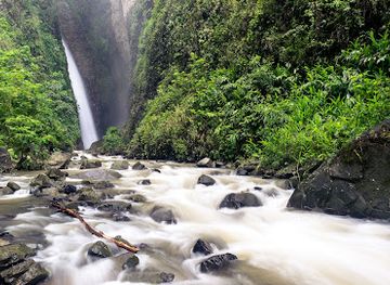 colombia/pereira/landmark/cascade-don-lolo