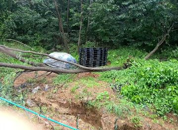 south-korea/daejeon/landmark/yuseong-hot-springs