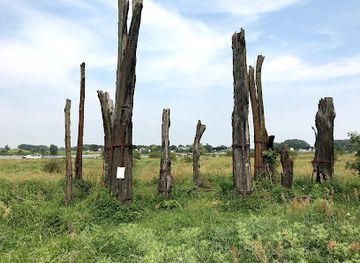 netherlands/gelderland/landmark/bomenmonument