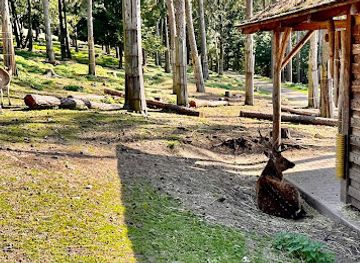 czechia/svaty-kopecek/landmark/jihoamericky-pavilon