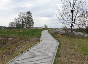 sweden/ostergotland/landmark/himmelstalund-rock-carvings
