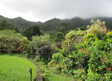 saint-vincent-and-the-grenadines/dark-view-falls/landmark/montreal-gardens
